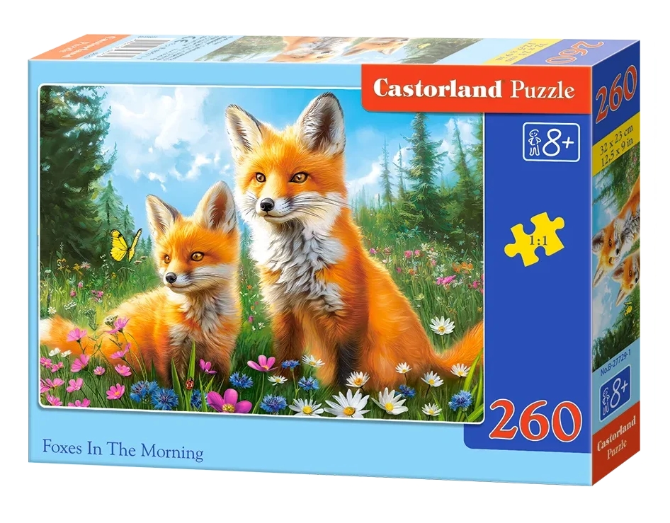 260-Foxes In The Morning