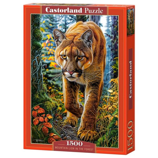 1500-Mountain Lion In The Forest