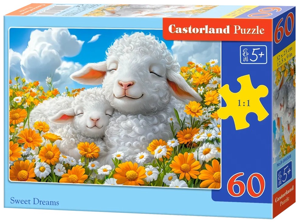 60-Sweet Dreams